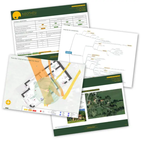 Rapport d'étude géobiologique
